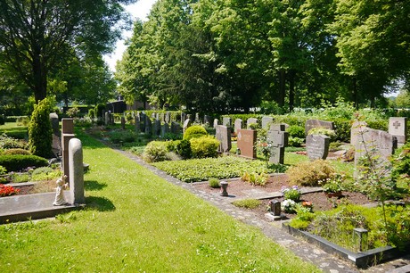 Hoholz