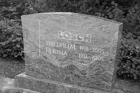 Hoholz