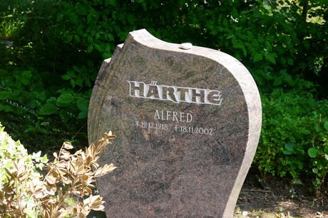 Hoholz