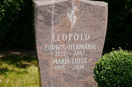 Hoholz