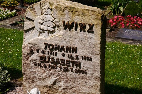 Hoholz