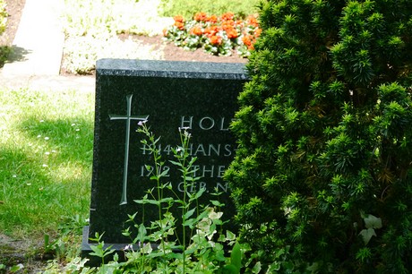 Hoholz