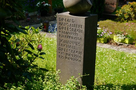 Hoholz