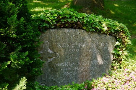 Hoholz