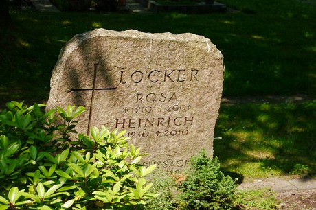 Hoholz