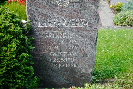 Hoholz