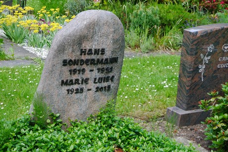Hoholz