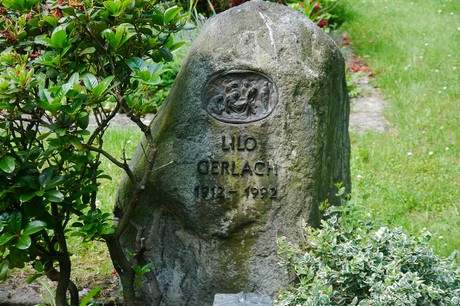 Hoholz