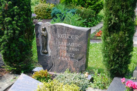 Hoholz