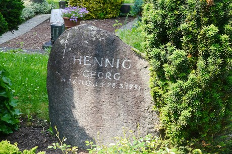 Hoholz