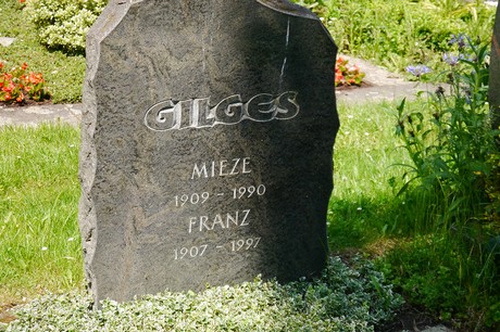 Hoholz