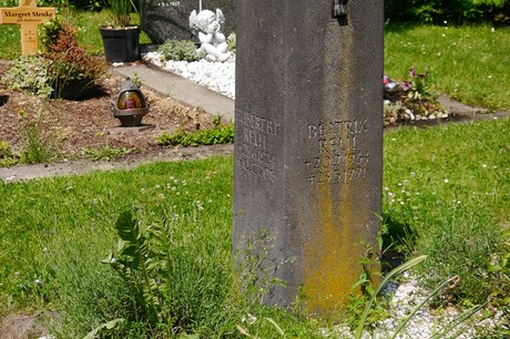 Hoholz
