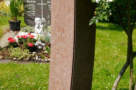 Hoholz