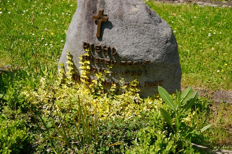 Hoholz