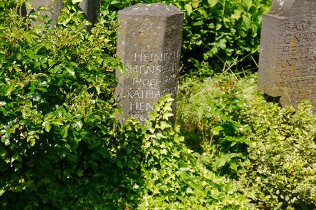 Hoholz