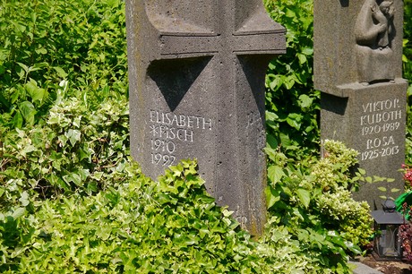 Hoholz