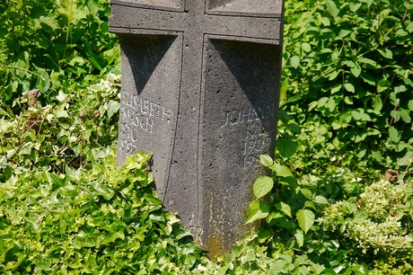 Hoholz
