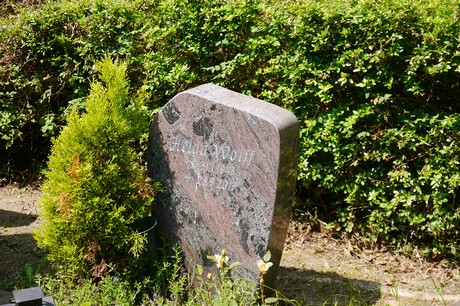 Hoholz