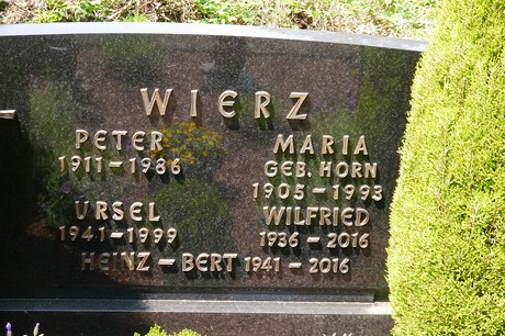 Hoholz