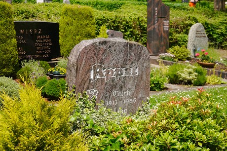 Hoholz