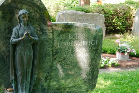 Hoholz