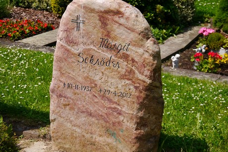 Hoholz