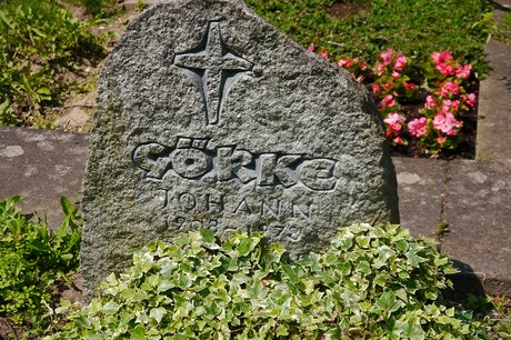Hoholz