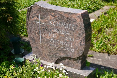 Hoholz