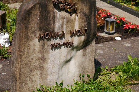 Hoholz