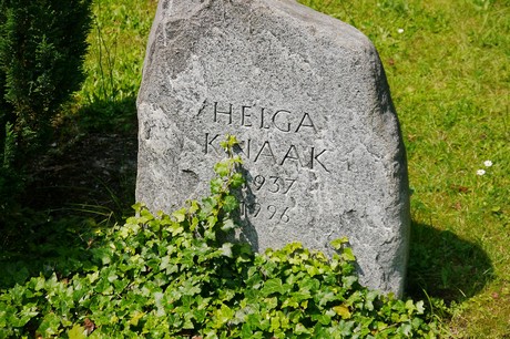 Hoholz