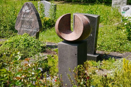 Hoholz