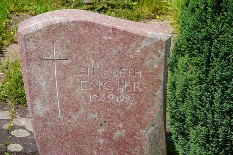 Hoholz