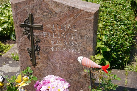 Hoholz