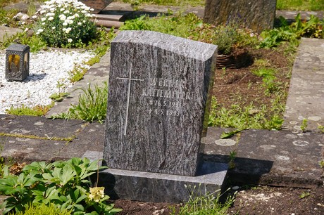 Hoholz