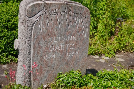 Hoholz