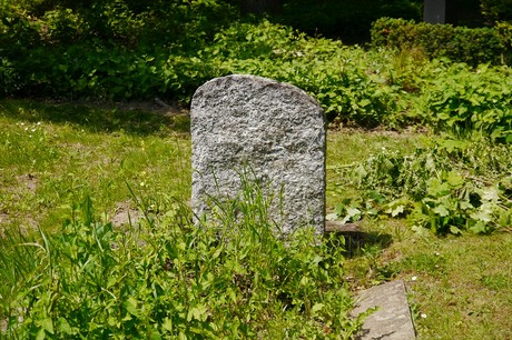 Hoholz
