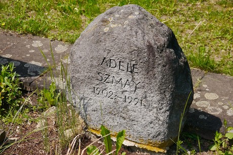 Hoholz