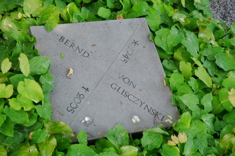 Hoholz
