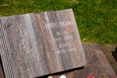 Hoholz