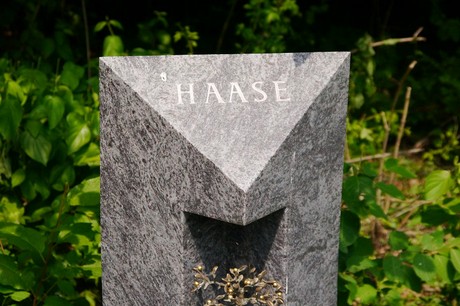 Hoholz