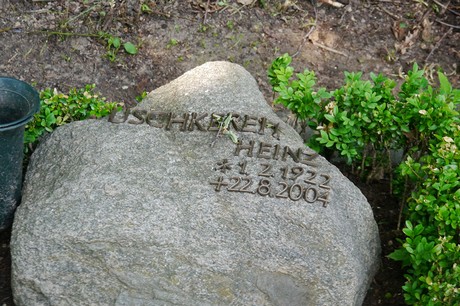 Hoholz