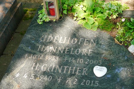 Hoholz
