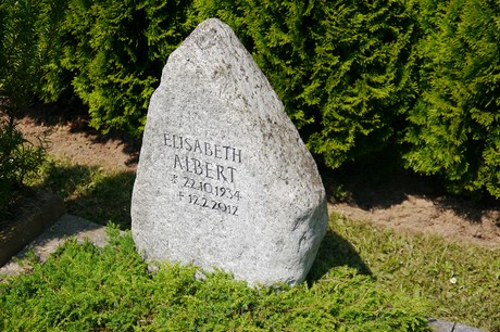 Hoholz