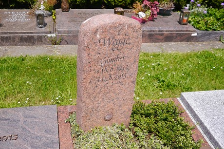 Hoholz