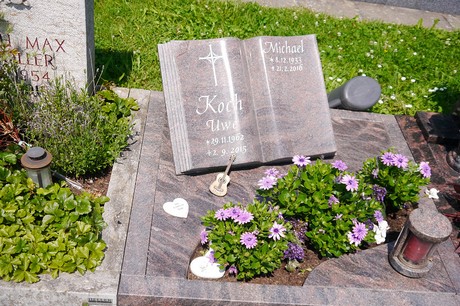 Hoholz