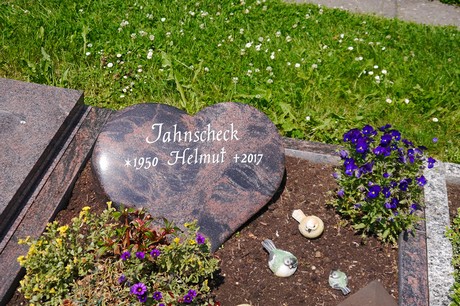 Hoholz