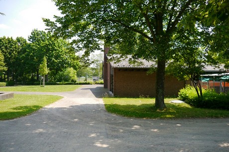 Hoholz