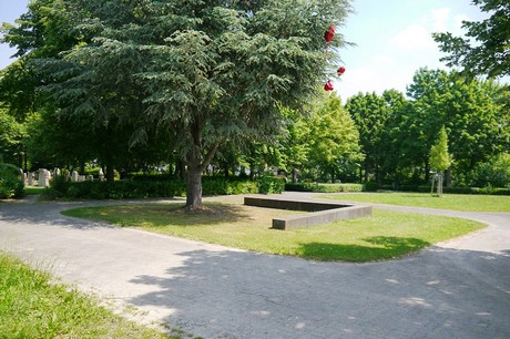 Hoholz