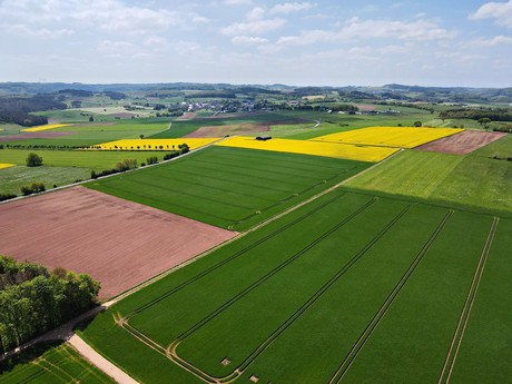Holzheim