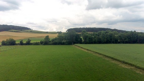 Holzheim